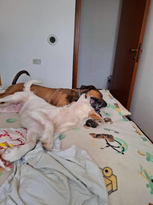 🌟 Iris, la forza della vita in cerca di amore 🌟 Foto 11